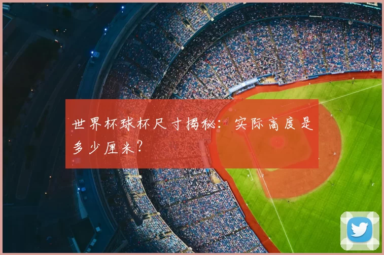 世界杯球杯尺寸揭秘:实际高度是多少厘米?