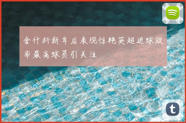 舍什科新年后表现惊艳英超进球效率最高球员引关注