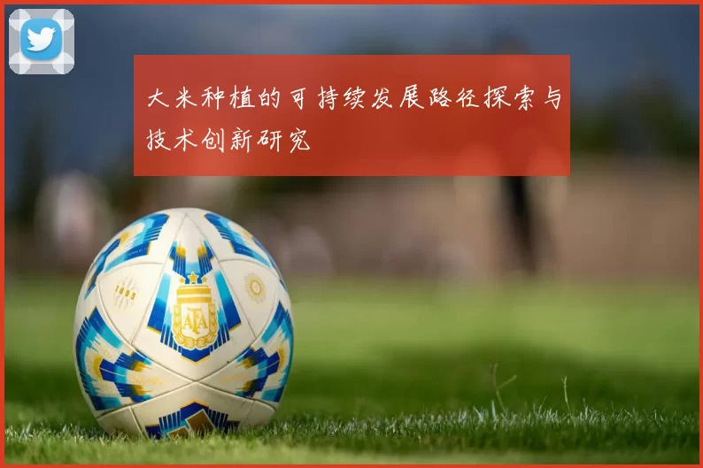 大米种植的可持续发展路径探索与技术创新研究