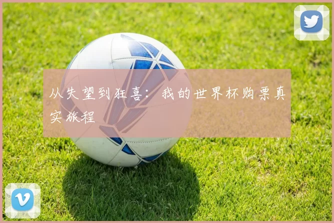 从失望到狂喜:我的世界杯购票真实旅程
