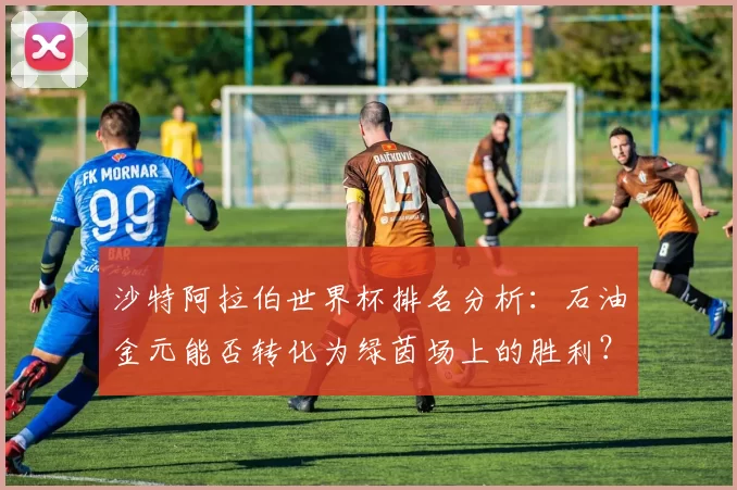沙特阿拉伯世界杯排名分析：石油金元能否转化为绿茵场上的胜利？