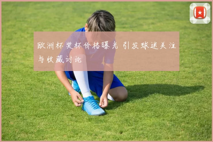 欧洲杯奖杯价格曝光 引发球迷关注与收藏讨论