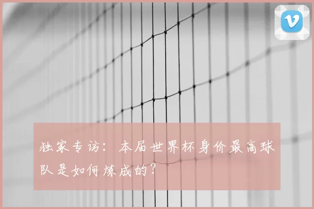 独家专访:本届世界杯身价最高球队是如何炼成的?