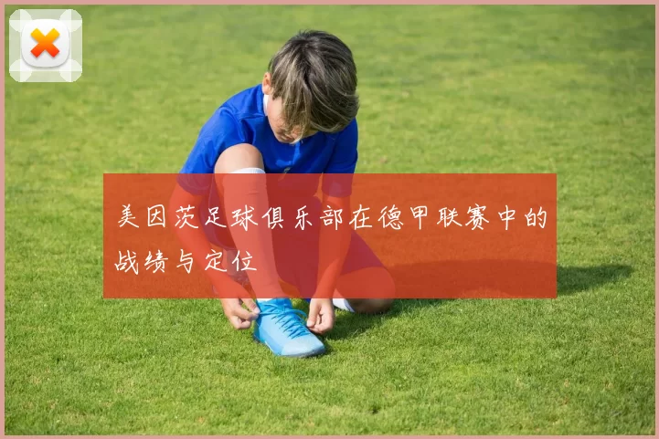 美因茨足球俱乐部在德甲联赛中的战绩与定位