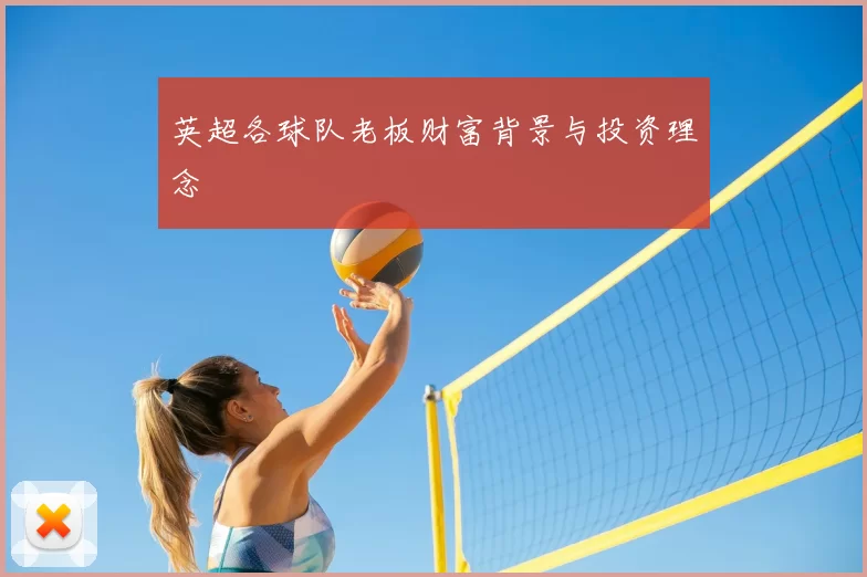 英超各球队老板财富背景与投资理念