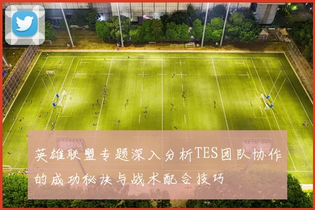 英雄联盟专题深入分析TES团队协作的成功秘诀与战术配合技巧