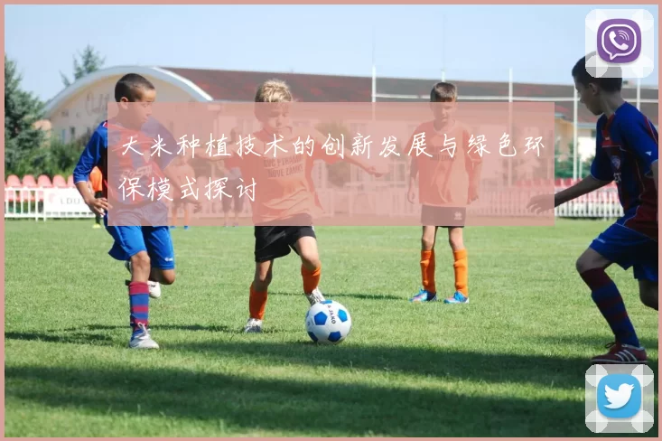 大米种植技术的创新发展与绿色环保模式探讨