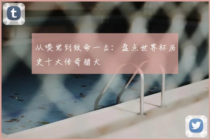 从嗅觉到致命一击:盘点世界杯历史十大传奇猎犬