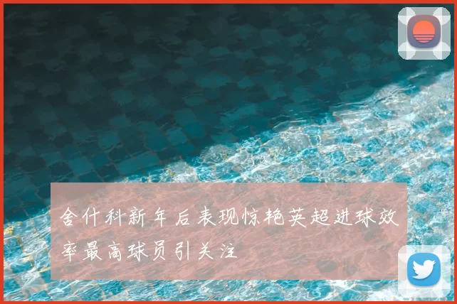 舍什科新年后表现惊艳英超进球效率最高球员引关注