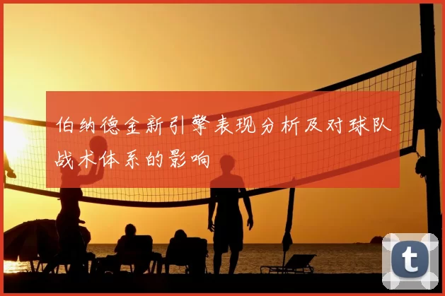 伯纳德金新引擎表现分析及对球队战术体系的影响