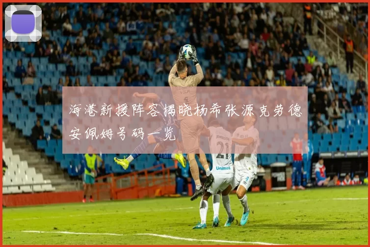 海港新援阵容揭晓杨希张源克劳德安佩姆号码一览