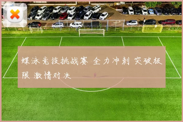 蝶泳竞技挑战赛 全力冲刺 突破极限 激情对决