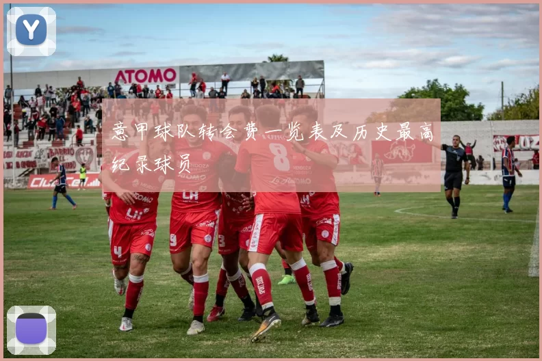 意甲球队转会费一览表及历史最高纪录球员