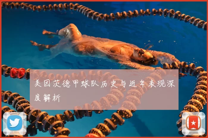 美因茨德甲球队历史与近年表现深度解析