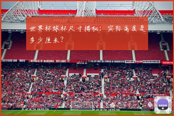 世界杯球杯尺寸揭秘:实际高度是多少厘米?