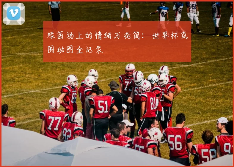 绿茵场上的情绪万花筒：世界杯氛围动图全记录