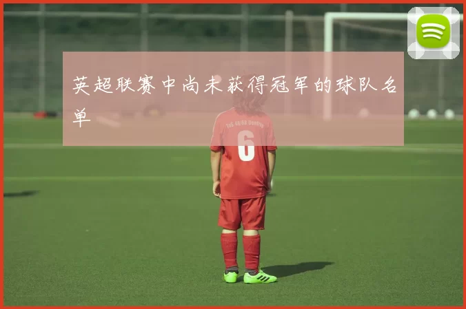英超联赛中尚未获得冠军的球队名单