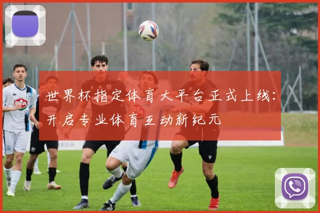 世界杯指定体育大平台正式上线：开启专业体育互动新纪元