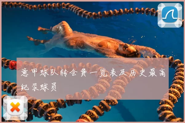意甲球队转会费一览表及历史最高纪录球员