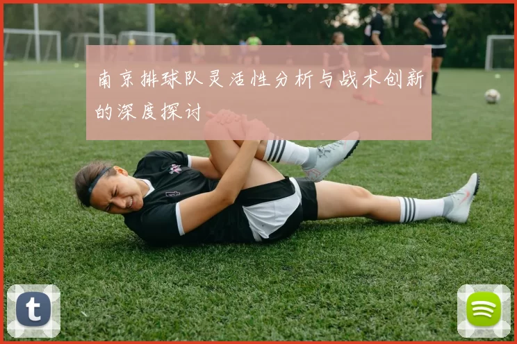 南京排球队灵活性分析与战术创新的深度探讨