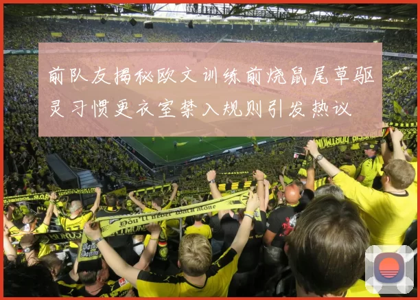 前队友揭秘欧文训练前烧鼠尾草驱灵习惯更衣室禁入规则引发热议