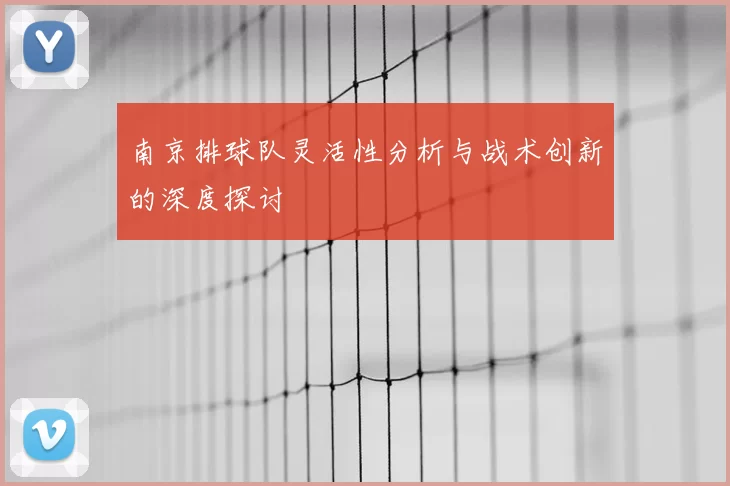 南京排球队灵活性分析与战术创新的深度探讨