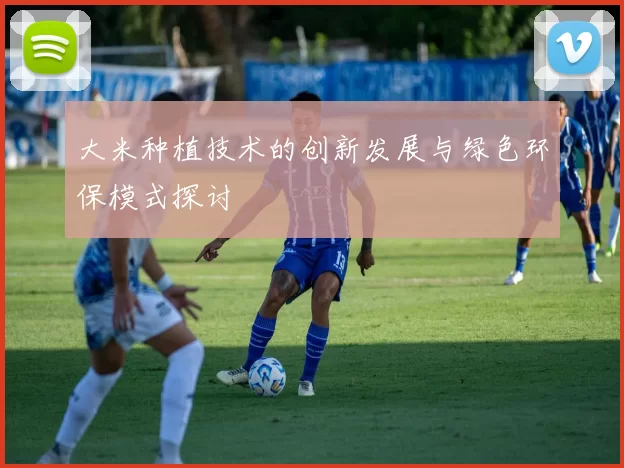 大米种植技术的创新发展与绿色环保模式探讨