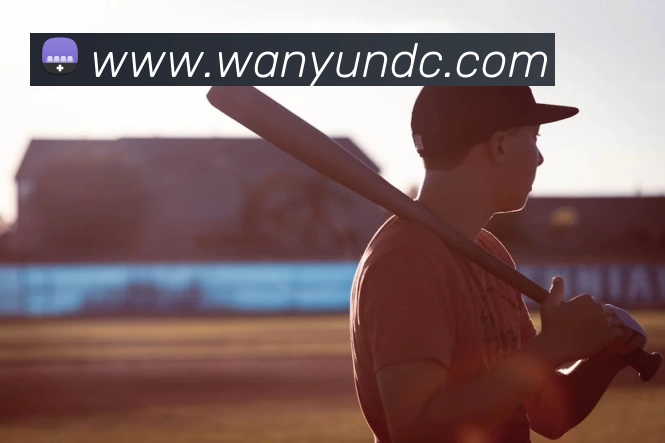 华体会体育平台生态图